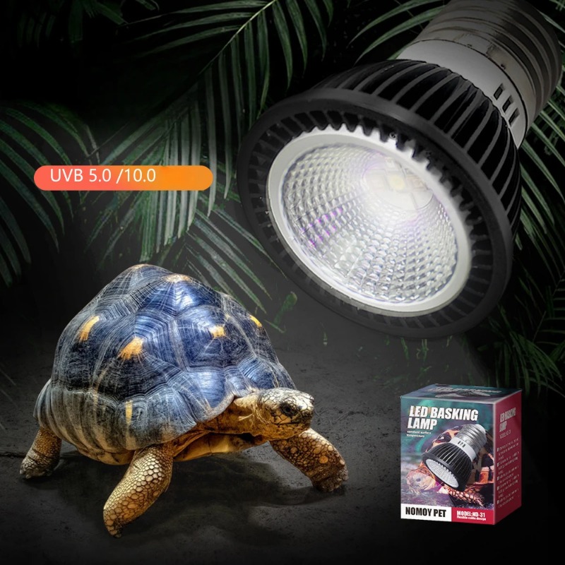 NOMOY 爬虫類 110/220V UVB + UVA ラ - Calcium Powder Reptile のレビューと価格
