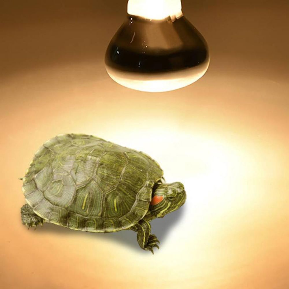 両生類用ヒートランプヒーター ハロゲン電球 日光浴用ライト  - Basking Bulb Halogen のレビューと価格