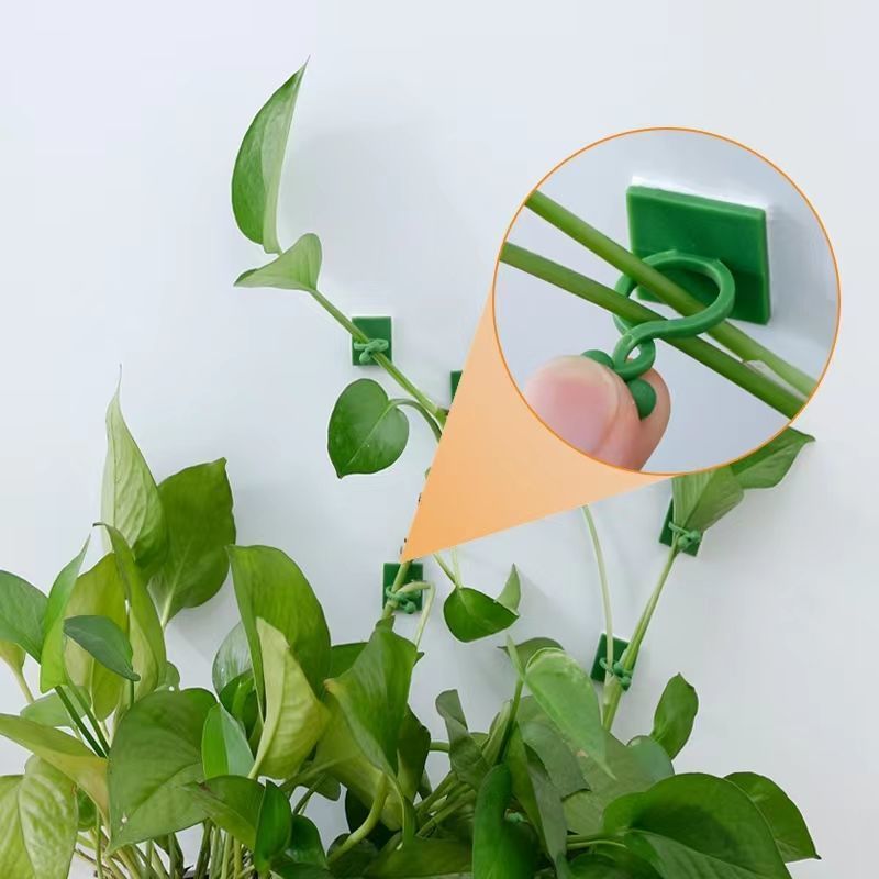 自己粘着式植物クライミングウォール固定クリップ、つる性植物固 - Vine Climbing Plastic のレビューと価格